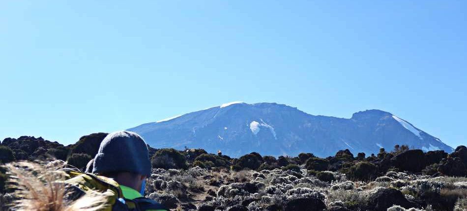 Trek Kilimanjaro Lemosho Route