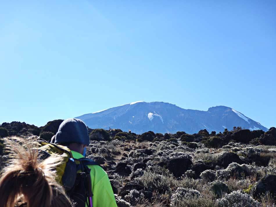 Trek Kilimanjaro Lemosho Route