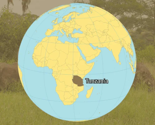 How to Get to Tanzania? Everything you need to know about.