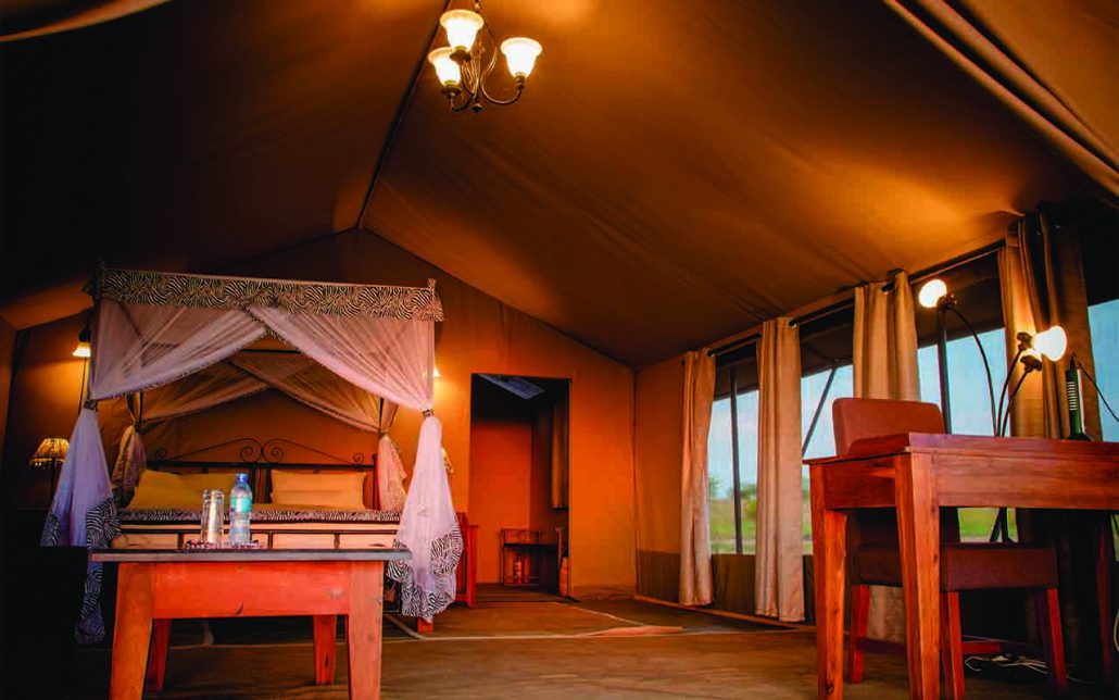 Best safari accommodations