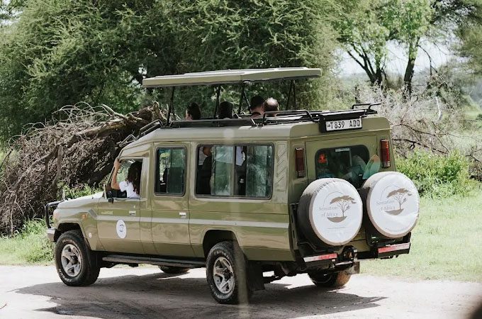 About Sensation of Africa Safaris