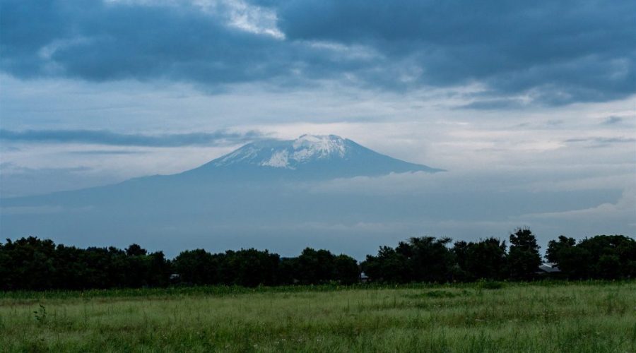 Tanzania Specialist (14 Dias Kilimanjaro Safari y Zanzibar)
