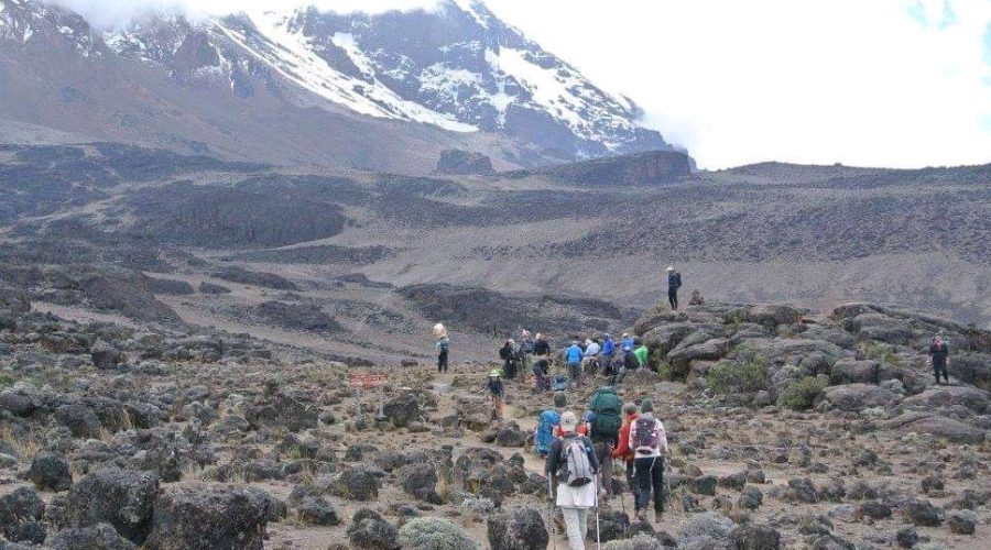 ruta-marangu-ascenso-kilimanjaro