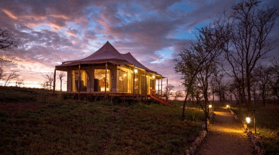 Tanzania Specialist (14 Dias Kilimanjaro Safari y Zanzibar)