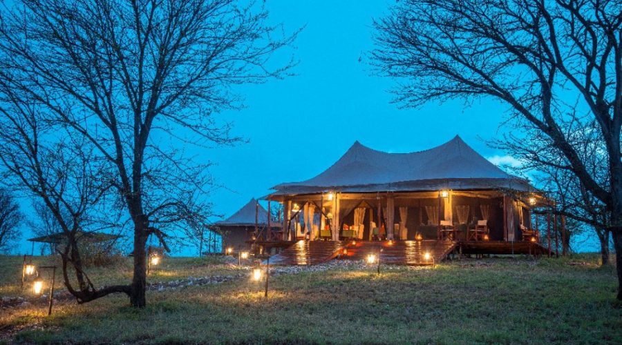 tented-camp-safari-1-1030x687
