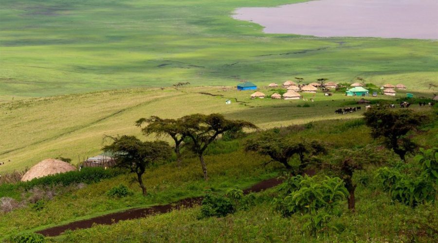 Savanna Elite (14 Dias Safari y Zanzibar)